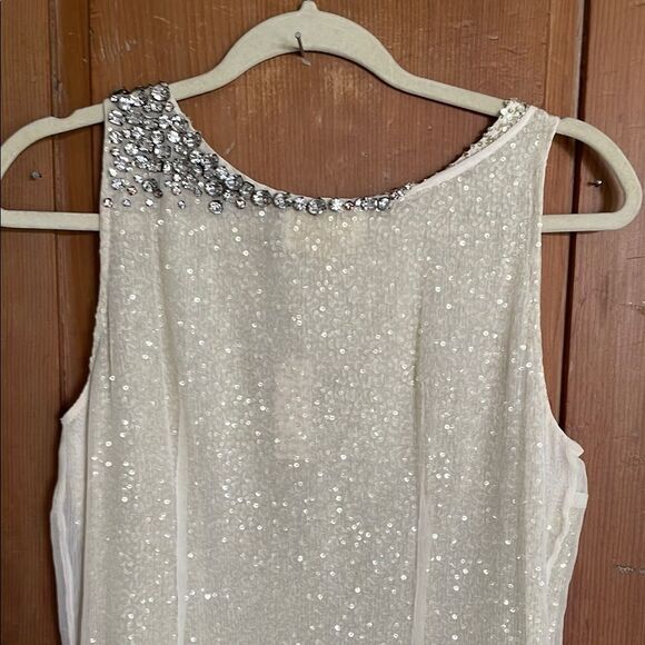Elijah Cream Crystal and sequin embellished Sleeveless Silk shift Dress NWT - Picture 7 of 12
